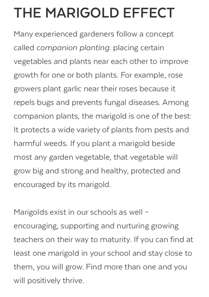 This. Is. Everything!! 🙌🏻 Teachers, I hope you find your marigold(s) this year and grow more than ever before! #ParksideStrong #1LISD  <a href="/cultofpedagogy/">Cult of Pedagogy</a>