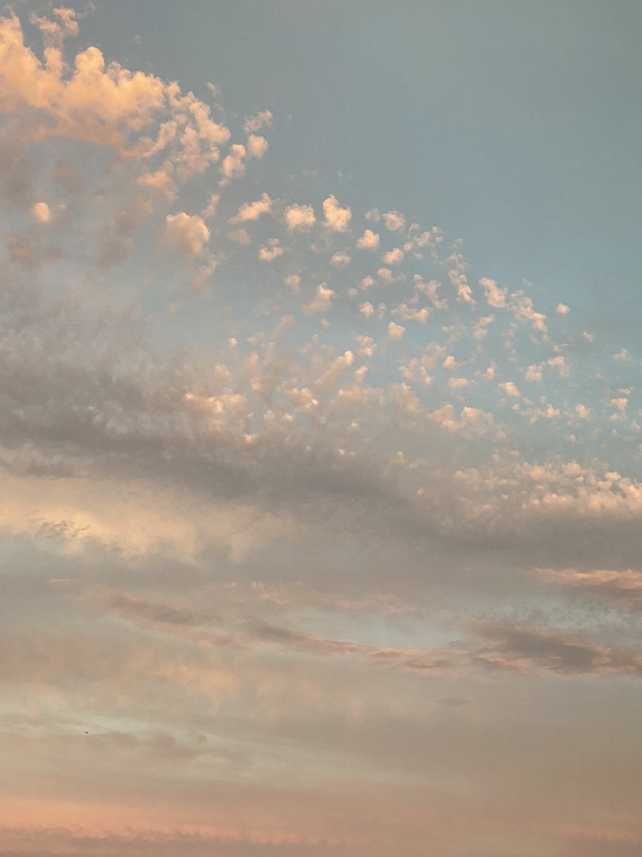 ninaeyu's tweet photo. *drops everything to take photos of the sky* https://t.co/Kia7mpTIA5