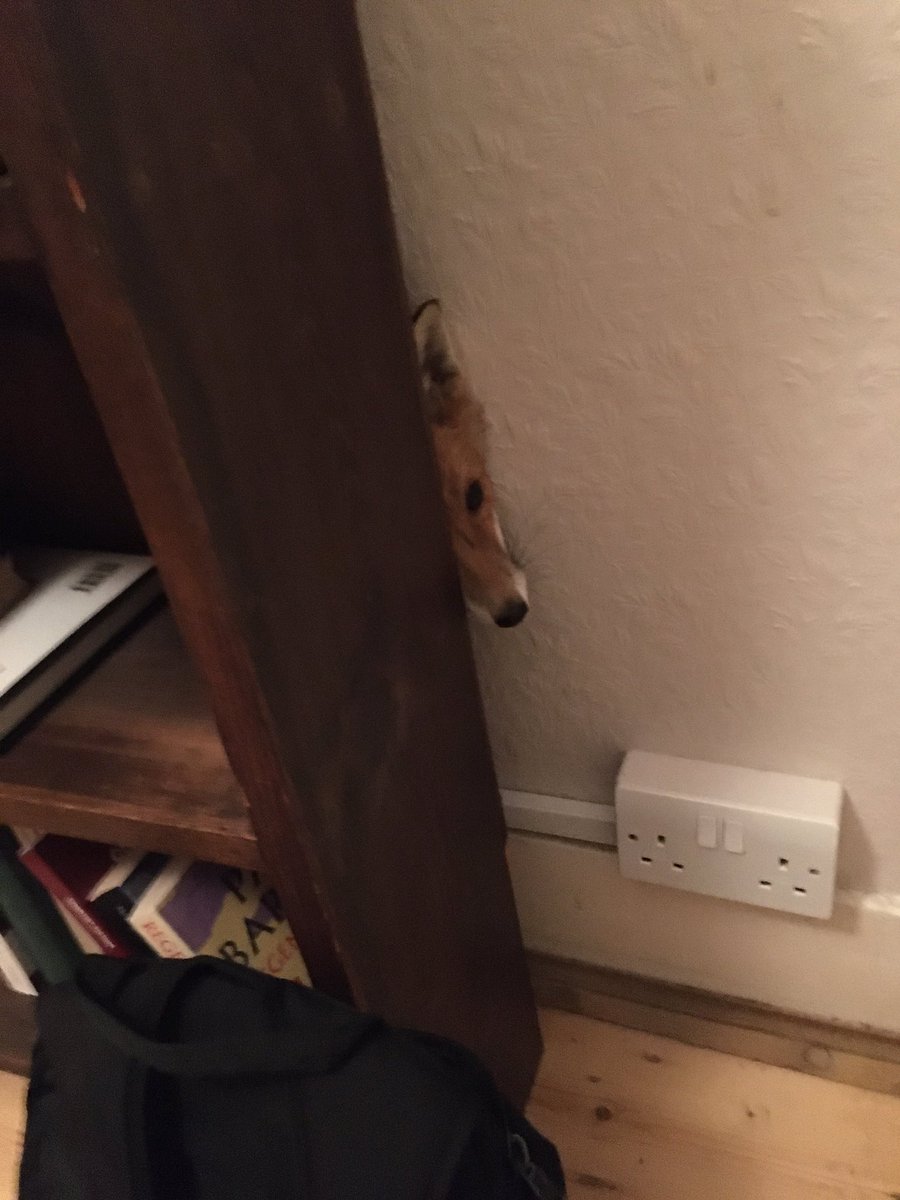 Alistair Robinson tweet media