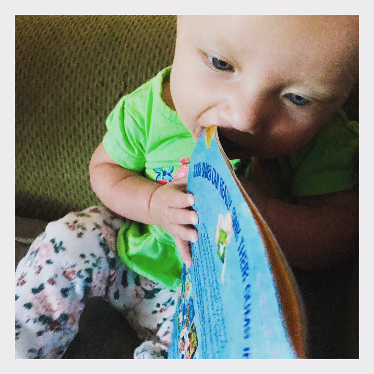 Missrithenay's tweet photo. You’re never too young to devour a good book 😂
.
.
#babiesreading #reading #read books #booksbooksbooks #babyreading #readingbaby #author #mom #writer #babygirl https://t.co/YlYaAaPr43