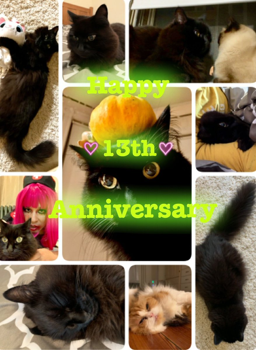 Theoshio の画像 動画一覧 Whotwi グラフィカルtwitter分析 Theoshio の画像 動画一覧 Whotwi グラフィカルtwitter分析