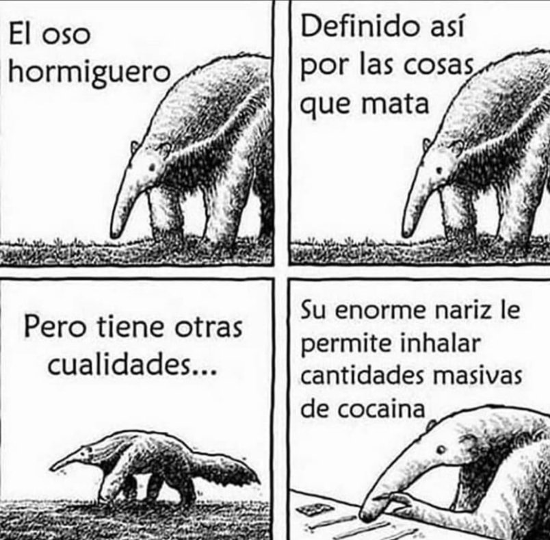 bautizita's tweet photo. que animal noble https://t.co/CoPAksIQdp