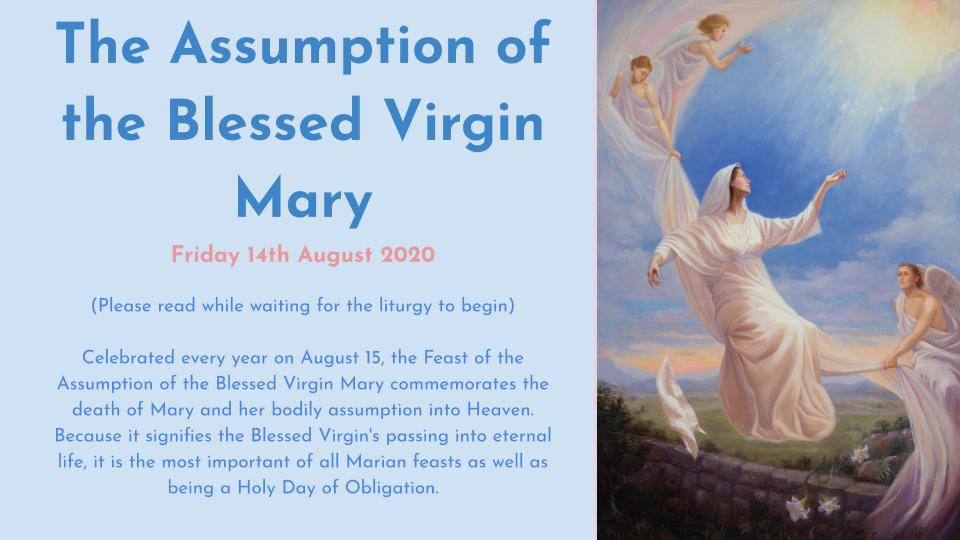 lisambrowning's tweet photo. @SACHSRH living faith, join together  in honor of The Assumption of Our Lady @CatholicEdParra @parracatholic https://t.co/XA91fT5GkP