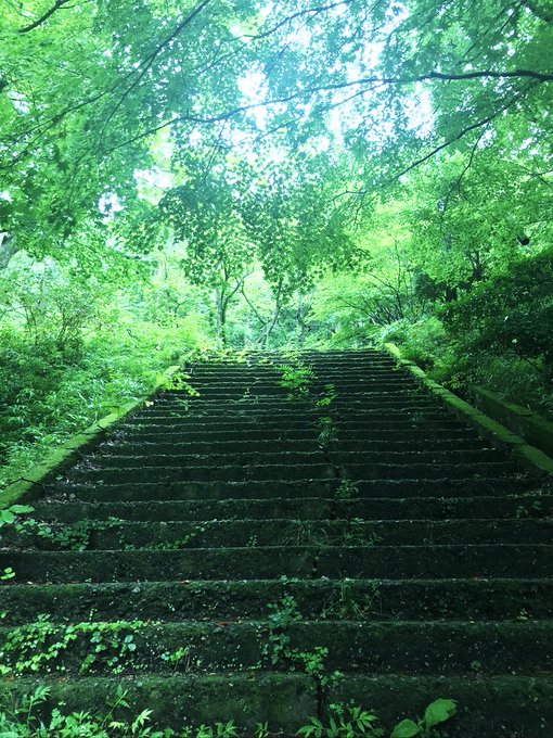 さんぽの歌詞の怖い都市伝説とは となりのトトロ本当の意味は怖い エンタメ口コミらぼ