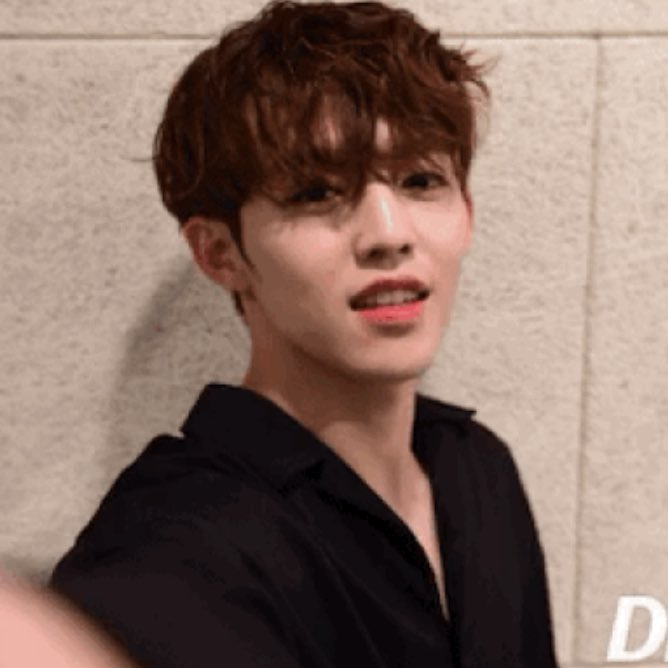 ; seungcheol | s.coups ♡