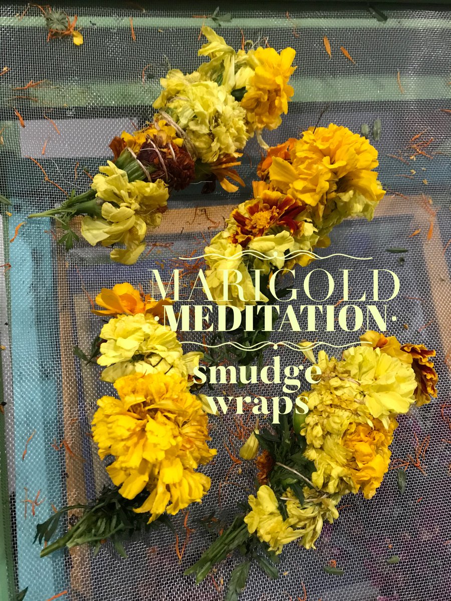TerryMudryk's tweet photo. More recipes in my book ... love my Marigold SMUDGE wraps 
#marigold #smudgewraps #cancersucks 
https://t.co/fDuX4W6Mqm https://t.co/OMLOc5Vxi6
