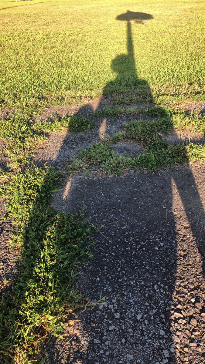 trel47's tweet image. I know I could play professionally!!!
Just haven’t been motivated in so long. I hold Basketball so dear to me. My stress reliever &amp;amp; one of my passions in life.
#pistolpete #lsu