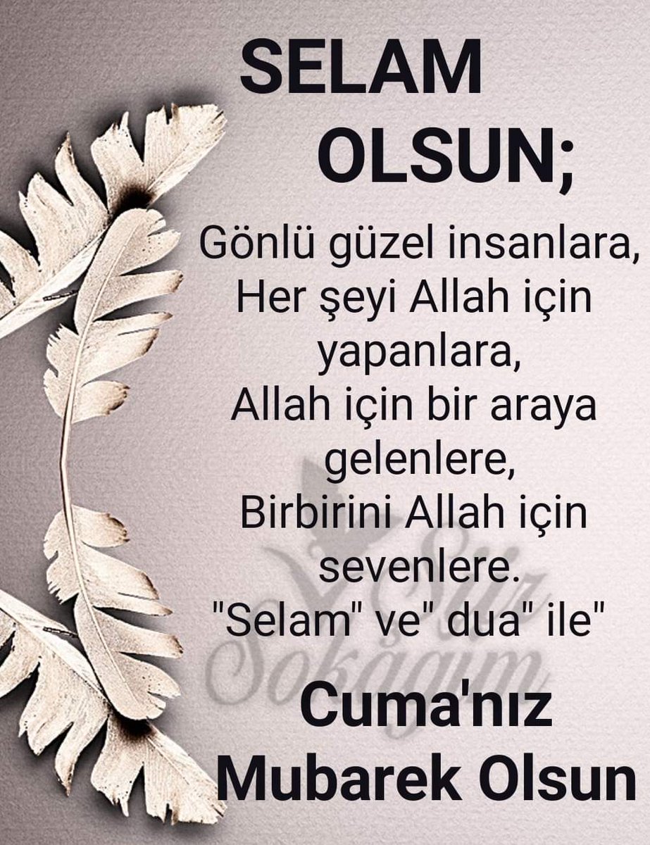 Zekai (@zekai92225810) on Twitter photo 