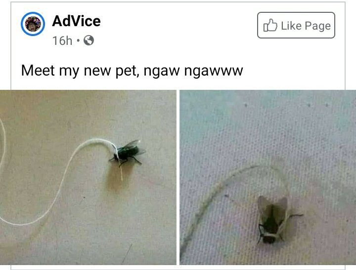 akutagawhy tweet picture