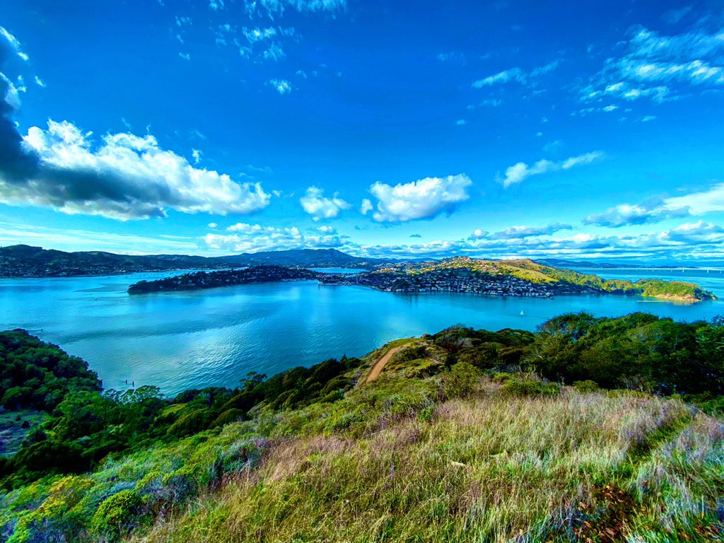 What you see and hear depends a good deal on where you are standing. C.S. Lewis 📷 by me

#perception #perceptioniseverything #bayarea #sanfrancisco #angelisland #naturephotography #nature