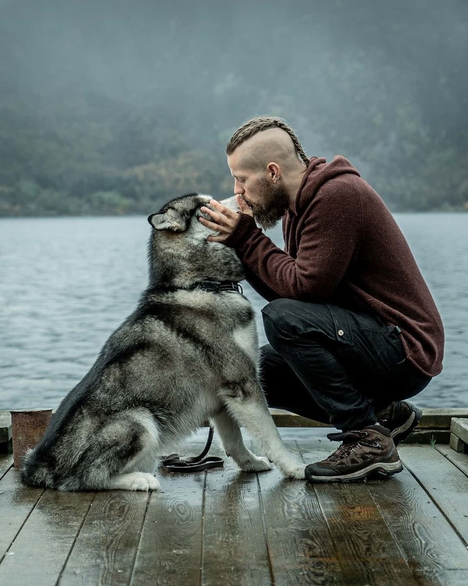 menbeardstyles's tweet photo. 🐺❤️ https://t.co/TqNSvUoNtV