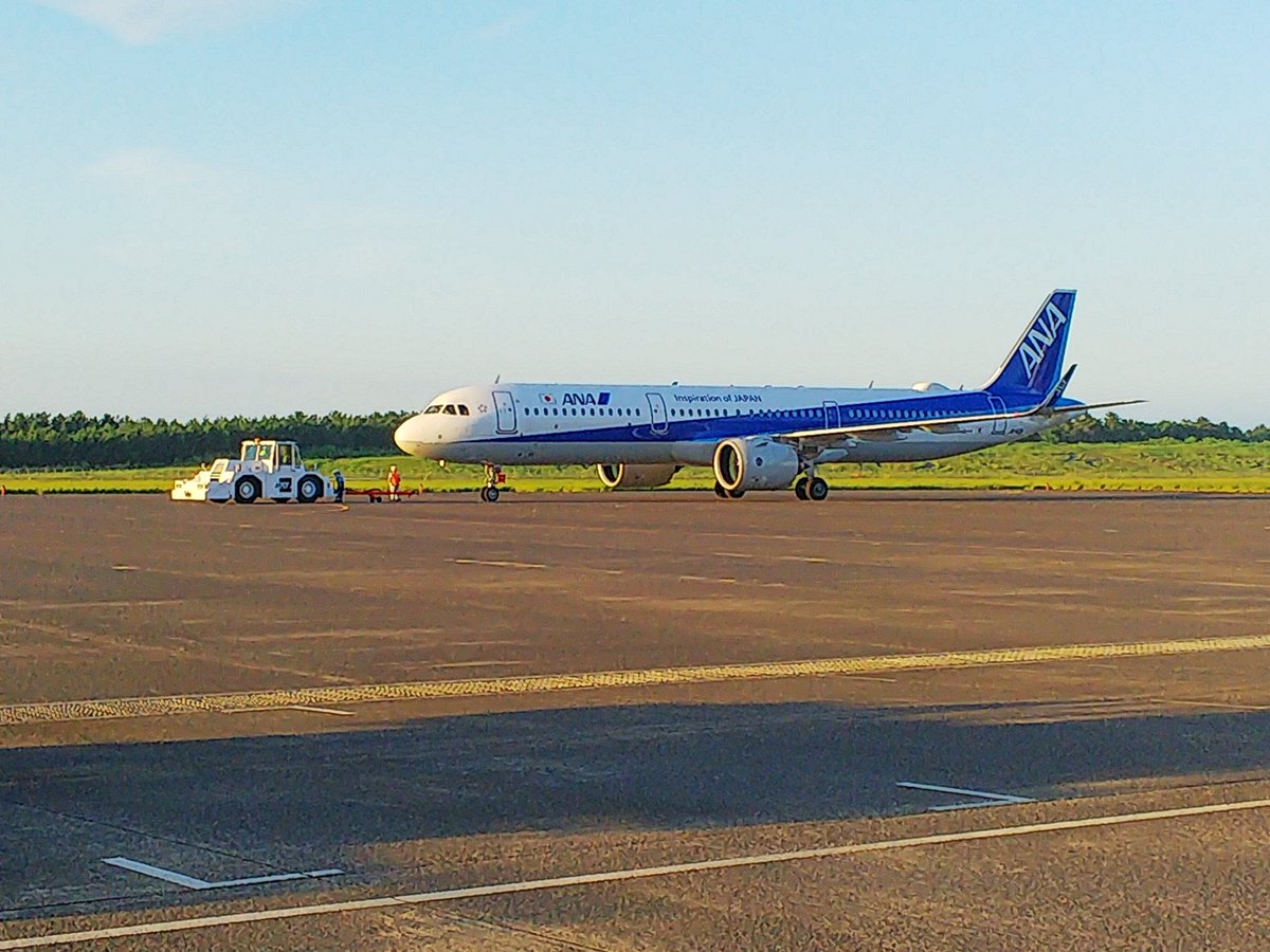 鳥取砂丘コナン空港 8 10 16の期間 傘踊りグッバイウェーブ を実施しています 今年はコロナの影響でしゃんしゃん祭りや花火大会が中止となり鳥取 の夏を感じる機会が無くなってしまいました 少しでも出発のお客様に鳥取の夏を感じていただければと思い