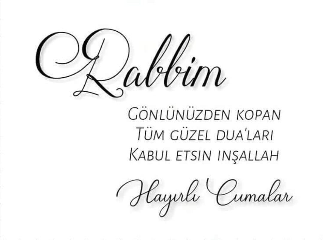 Hayata, zamana, yeni bir güne..

﷽ 🌿 🕊