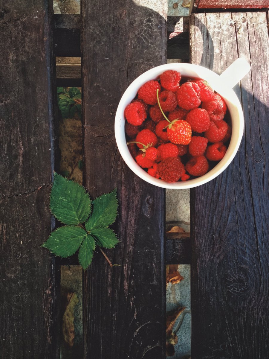 La liste est longue ce mois-ci!
Profitons du mois d'aout pour faire le plein d'énergie et croquer tous les #fruits plein de saveurs!!! 💪😋
greenpeace.fr/guetteur/calen…

Et pour cet hiver, pensez dès maintenant à faire vos  #confitures, #gaspachos, #coulis, #conserves... 😋😋