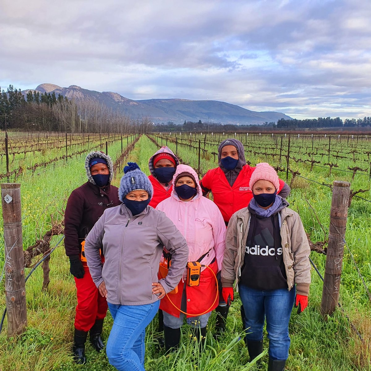 Avondalewine's tweet photo. Zelda & her team, taking care of our organic & biodynamic vineyards. These gossip girls accompanied by our ducks ensure our vineyards receive the attention and love it needs.
#Avondaleiwnesa;; #IWD2020; #PaarlTourism; #FABER; #Ochra; #SaveMyLivelihood https://t.co/nMDD6dg8Ol