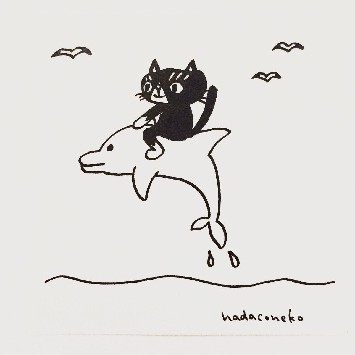 肌子 على تويتر 今日のイラストはコレ ｪ イルカと遊んでる猫 イラスト 猫 ネコ ねこ オリジナル ペン画 アナログ画 絵 猫の絵 白黒猫 ハチワレ猫