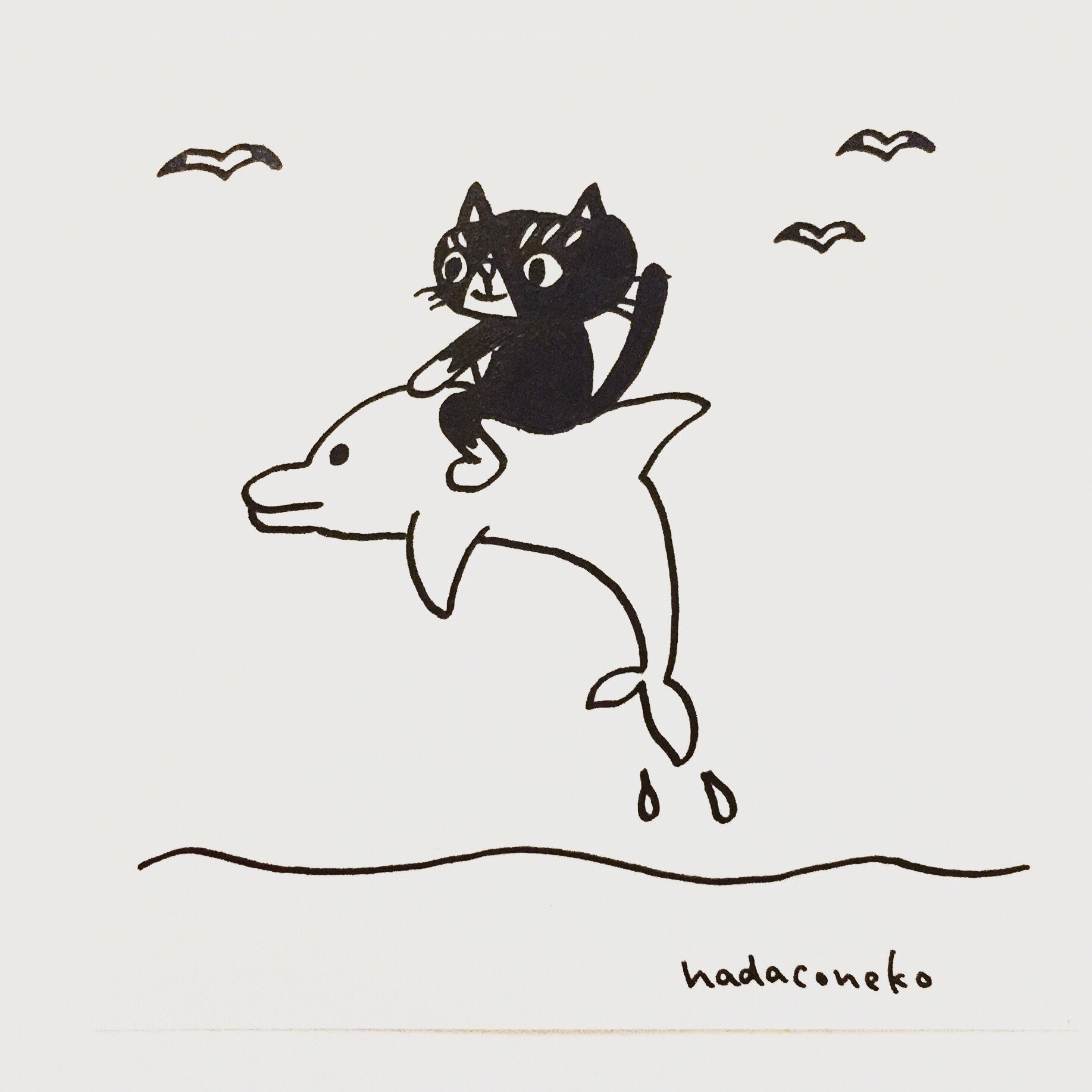 肌子 今日のイラストはコレ ェ イルカと遊んでる猫 イラスト 猫 ネコ ねこ オリジナル ペン画 アナログ画 絵 猫の絵 白黒猫 ハチワレ猫 T Co uayyvplm Twitter 肌子 今日のイラストはコレ ェ イルカと遊んでる猫 イラスト 猫 ネコ ねこ オリジナル ペン画 アナログ画 絵 猫の絵 白黒猫 ハチワレ猫 T Co uayyvplm Twitter