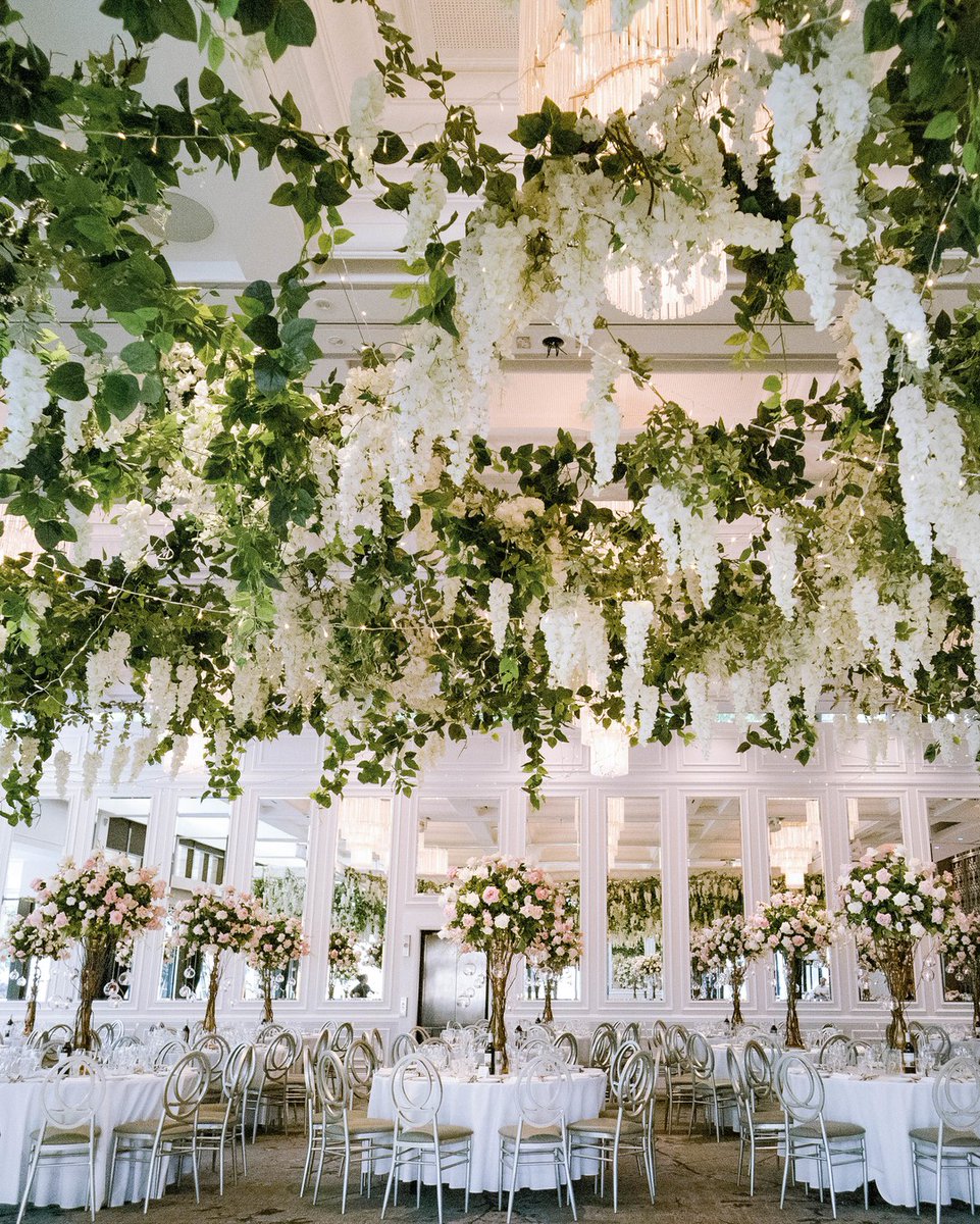 It's all about the greenery ceiling installations 🍃I loved using lush greens to elevate Kay and Samuel's wedding reception. It looked so gorgeous when contrasted with the white curzonhall interior and splashes of pink and cream throughout. #annawangstylist #sydneywedding #sy