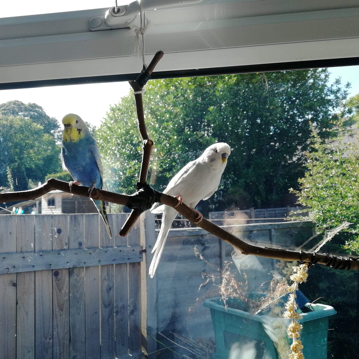 Dr Becca Drake tweet media