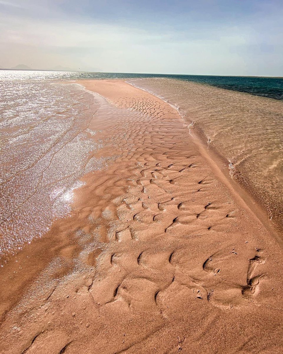 TheSaudiGateAR's tweet photo. شاطىء قيال أحد الوجهات الجميلة والساحرة في المملكة ✨💚 https://t.co/EF4p5Rh5km