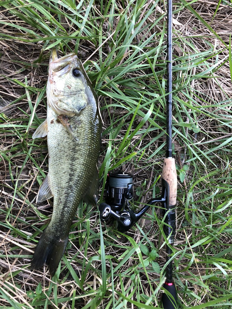 ユーマ Twitter Search