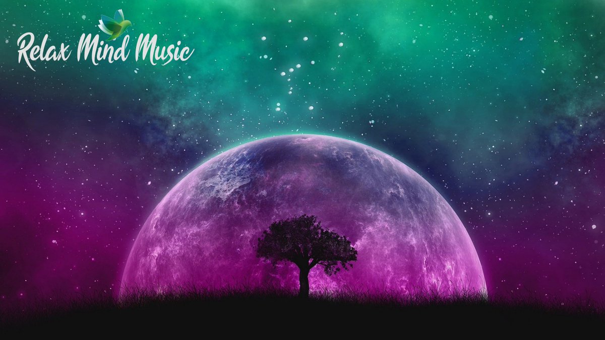 KevinDgmark's tweet photo. Healing Music, Meditation Music And Relax Mind Body https://t.co/KWS8gteIOO via @YouTube #relaxingtime #relaxingvideos #relaxingmusic #relaxingsounds #relaxing_time #relaxingvideo #relaxingmoments  #relaxingpiano #relaxingspa #relaxingnight #relaxingmoment https://t.co/f7wlC74Ii3