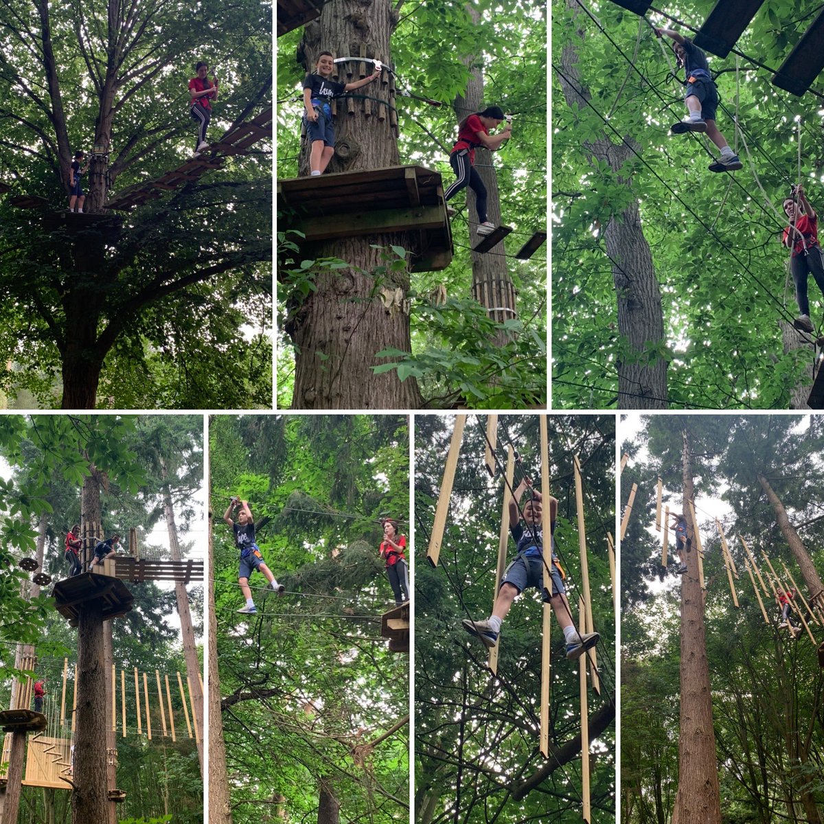 janekent80's tweet photo. A bit of aping today, the #miniAHPs representing again for #AHPsActive and upgrading to the adventure+ course @GoApeTribe https://t.co/vVOiLgjIgh