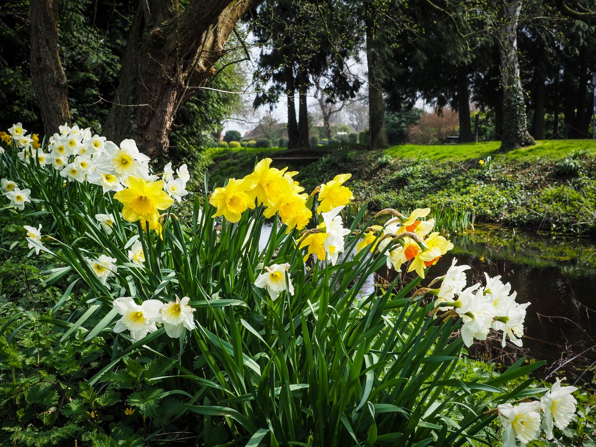 howdenashes's tweet photo. Want to help shape the future of #HowdenAshes - Howden's garden? The Ashes Playing Field Trust - the people who run the charity overseeing the park - have two vacancies for holding trustees. #Howden

https://t.co/ln8p7P7c25 https://t.co/wNcGssW6S0