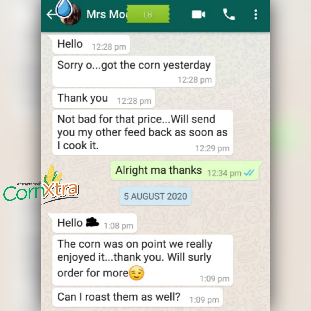 CornXtra's tweet photo. Yes you certainly can!

Sweet Corn can be enjoyed Cooked, Grilled, Roasted or even Fresh

What recipes are you trying this weekend?

#CornXtra #cornxtra #SweetCorn  #HappyCustomer #TGIF https://t.co/zmJ7XCsUXn