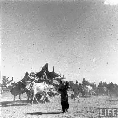 #IndependenceDay
#Struggleforfreedom
#14thAugust
#Pakistan