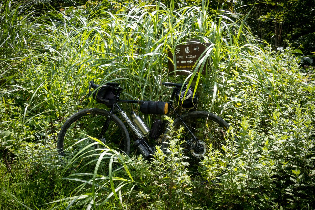 国道235号の最新通行止情報 今日現在・リアルタイム情報|ナウティス