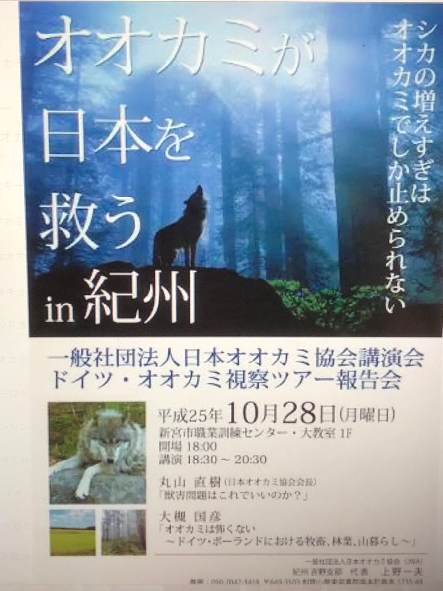 Princess 清水秀美shimizu Hidemi