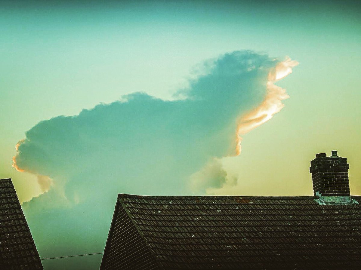 OutdoorReed's tweet photo. Angry cloud man?
#angrycloud #angrycloudface #funnycloud #eveningsky #eveningskyview #kentskies #cloudsoverhead #nature #meteorology #ig_skylovers #ig_sky #explorekent #visitkent #lovekent #mykent #igerskent #seisbest #shapesinthesky #shapesintheclouds #sunsetclouds #lookup https://t.co/2NGY2rjOZE