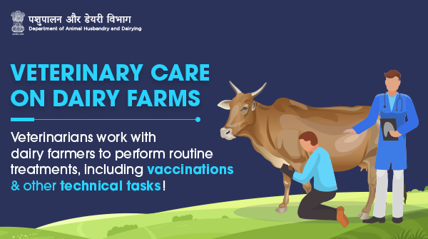 Dept_of_AHD's tweet photo. #Veterinarians play a crucial role in ensuring #DairyFarms have #healthy &amp; #productive #herds. During routine visits, veterinarians monitor the general #health of #livestock and perform regular treatments like #vaccinating or dehorning #calves.
#AnimalWealth #AnimalHealth https://t.co/w01gaSPoLa