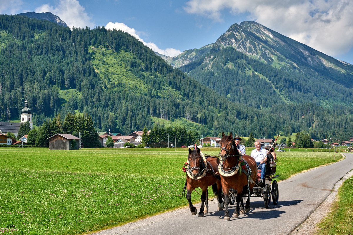 Welche Kutschfahrt würdet ihr am liebsten machen? Eine genüssliche Ausfahrt bei Sonnenschein oder lieber romantisch unterm Sternenhimmel?

Dies und mehr zum Thema Kutschenfahrten könnt ihr hier nachlesen 👇

tannheimertal.com/online-magazin…

#tannheimertal
©️Bilder Achim Meurer
