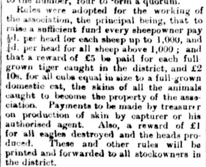 Jack Ashby tweet media