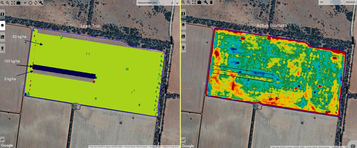 Looking forward to yield data analysis / trial reports this season. Imagery showing biomass variation across a number of N trials.