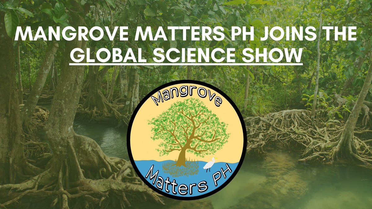 MangrovePh's tweet image. Hi! We are the Mangrove Matters PH from the Philippines and we are taking part in the #GlobalScienceShow 

Today we will be discussing mangroves. Follow along with the whole show and check @caitmbrown who is up next. @GlobalSciShow #ScienceFromHome #ScienceChatPH

Please retweet