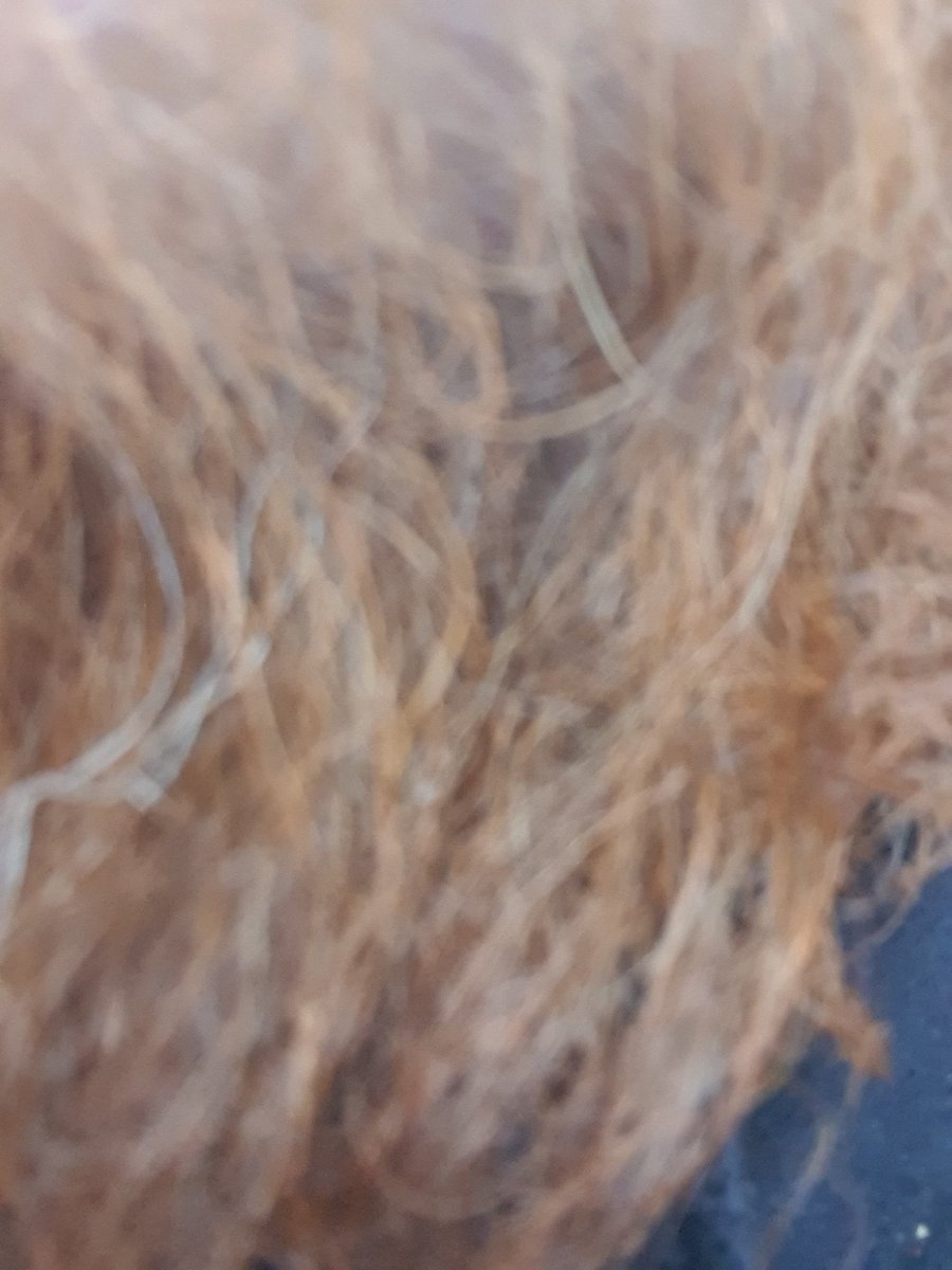 staticjay_ni's tweet photo. @Ohbeepgcp In fact here is a cheeky squint at my beard. No charge. https://t.co/VGsYQqB9jV
