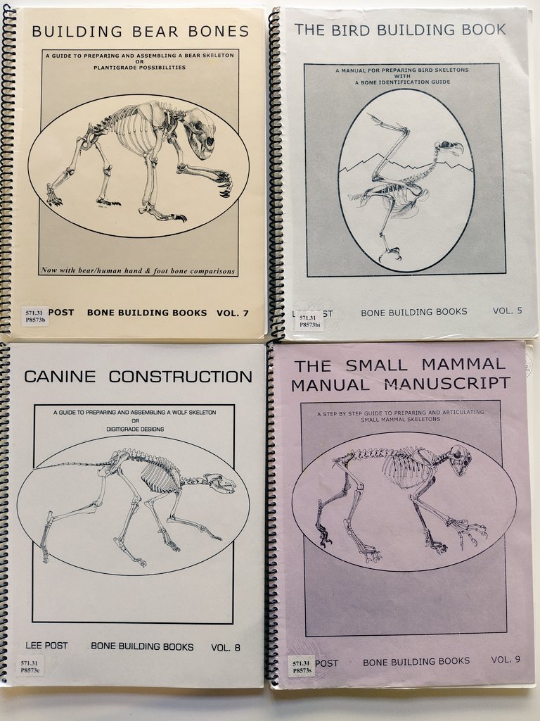 QamNas's tweet photo. On this #FossilFriday I discovered these incredible guides to preparing and mounting skeletons, written by the absolutely talented #BoneMan Lee Post #bonebuilders #taxidermy #palaeontology #anatomy #vertebrates https://t.co/SLmHhycvXS