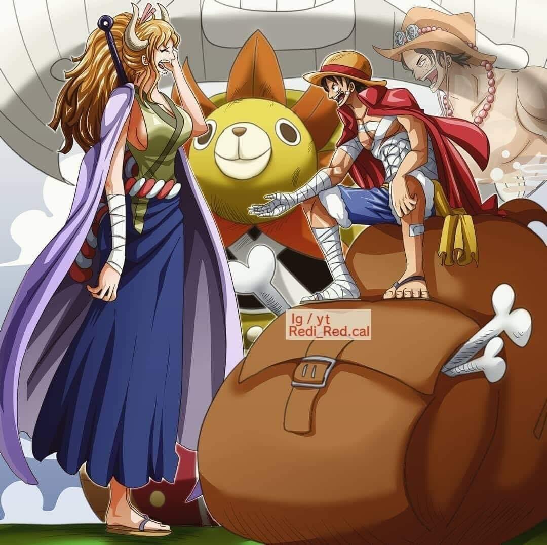 Admiral Yonkou Admiralyonkou Twitter Admiral Yonkou Admiralyonkou Twitter