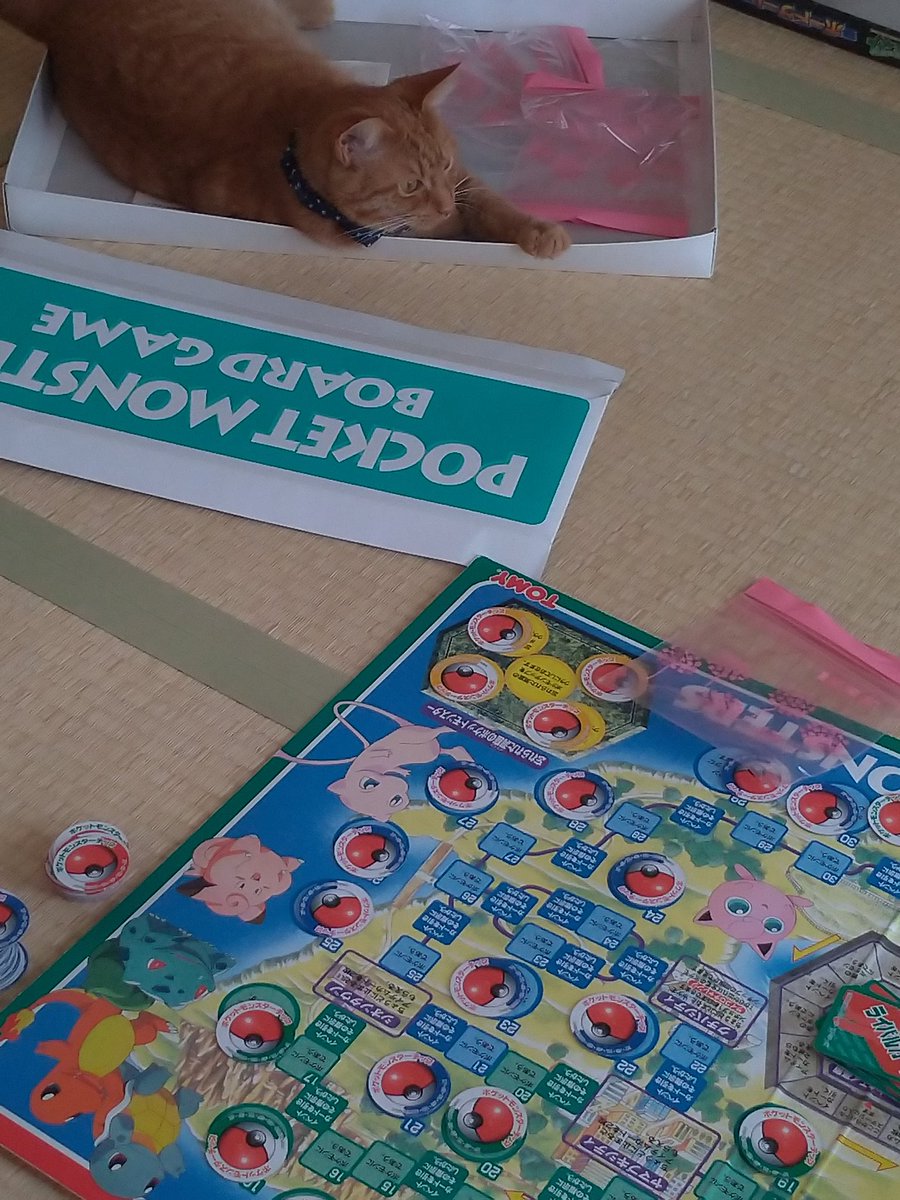 ポケモンボードゲーム