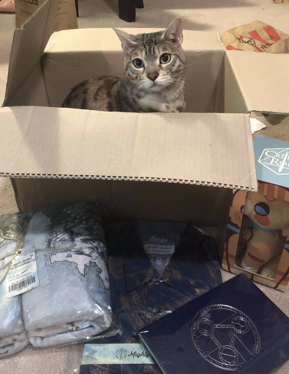 octolophant's tweet photo. My haul from the Aussie critical role store just arrived! Dorian has decided the box passes quality inspection. Canβt wait to crack into the art book! #criticalrole #aussiecritters https://t.co/ZhAUsc3ii2