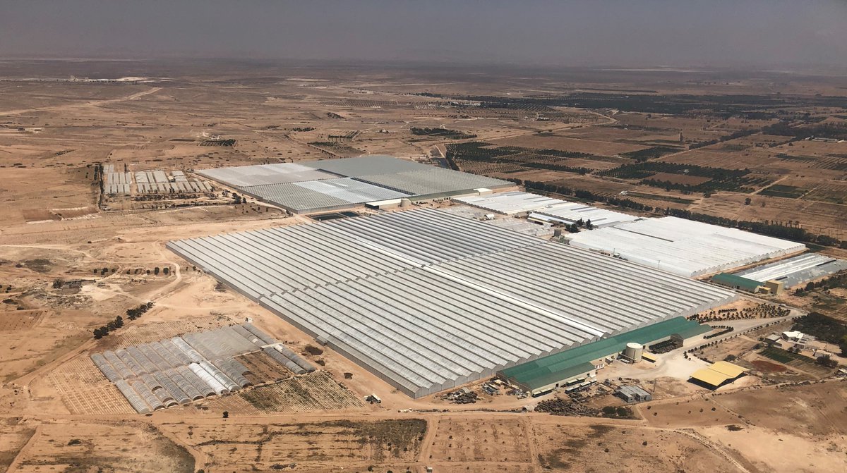 Agrikol group tweet media