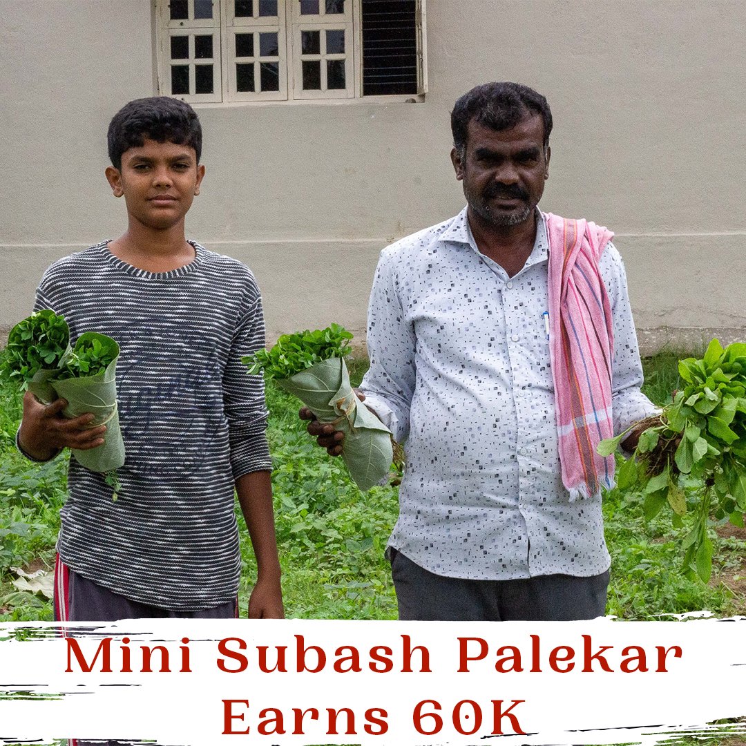 madhuchandansc's tweet photo. Mini Subash Palekar has earned 60k during corona lockdown.

https://t.co/mzjMR6pvbB 

#organicmandya #vegetablebed #agriculturetraining #naturalfarming #naisargikakrushi #farming #farmingtraining #farmers #agriculture #mandya #vegetables #vegetablesfarming #subashpalekar #zbnf https://t.co/GRXhwUbP71
