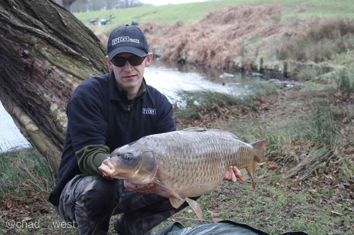 chad__west's tweet photo. One of Richmond parks Finest big ghosty 2011 #rigmarole #rigmarole_uk #camh20 #skinfull #flxline #linktec #finelytunedtackle #carp #carpfishing #carpangling #carpfisherman #carpangler #angler #fisherman #carpy #fishing #angling #karpervissen #carplife #karpfen #karper #peche https://t.co/XP27394tqC