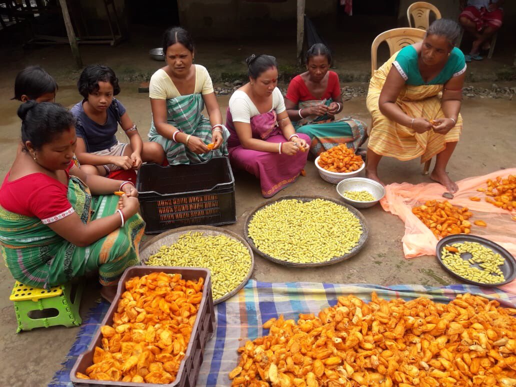 DeuriJogesh's tweet photo. Women busy with Eri culture in BTC https://t.co/kqUa7Dtaqz