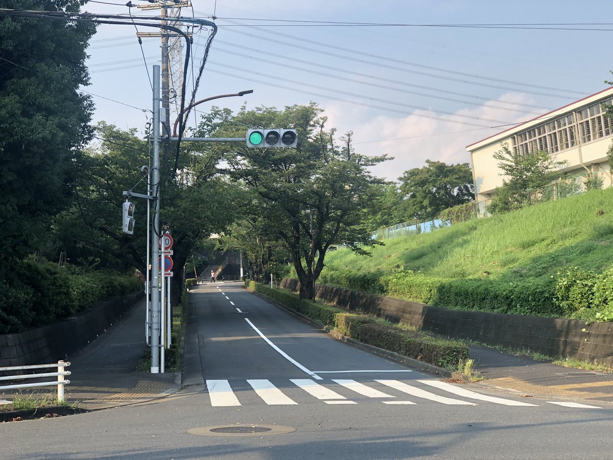 しもこし 祝 ソロ曲 4 30 多摩市の住宅街の特徴だと思うんだけど 道路両脇に生け垣と街路樹 建築区画は少し道より高く 緩衝帯の緑地にカシ コナラやマツなどの植生 道路より高い住宅区域を結ぶためにしばしば陸橋 多摩市という感じがめっちゃある