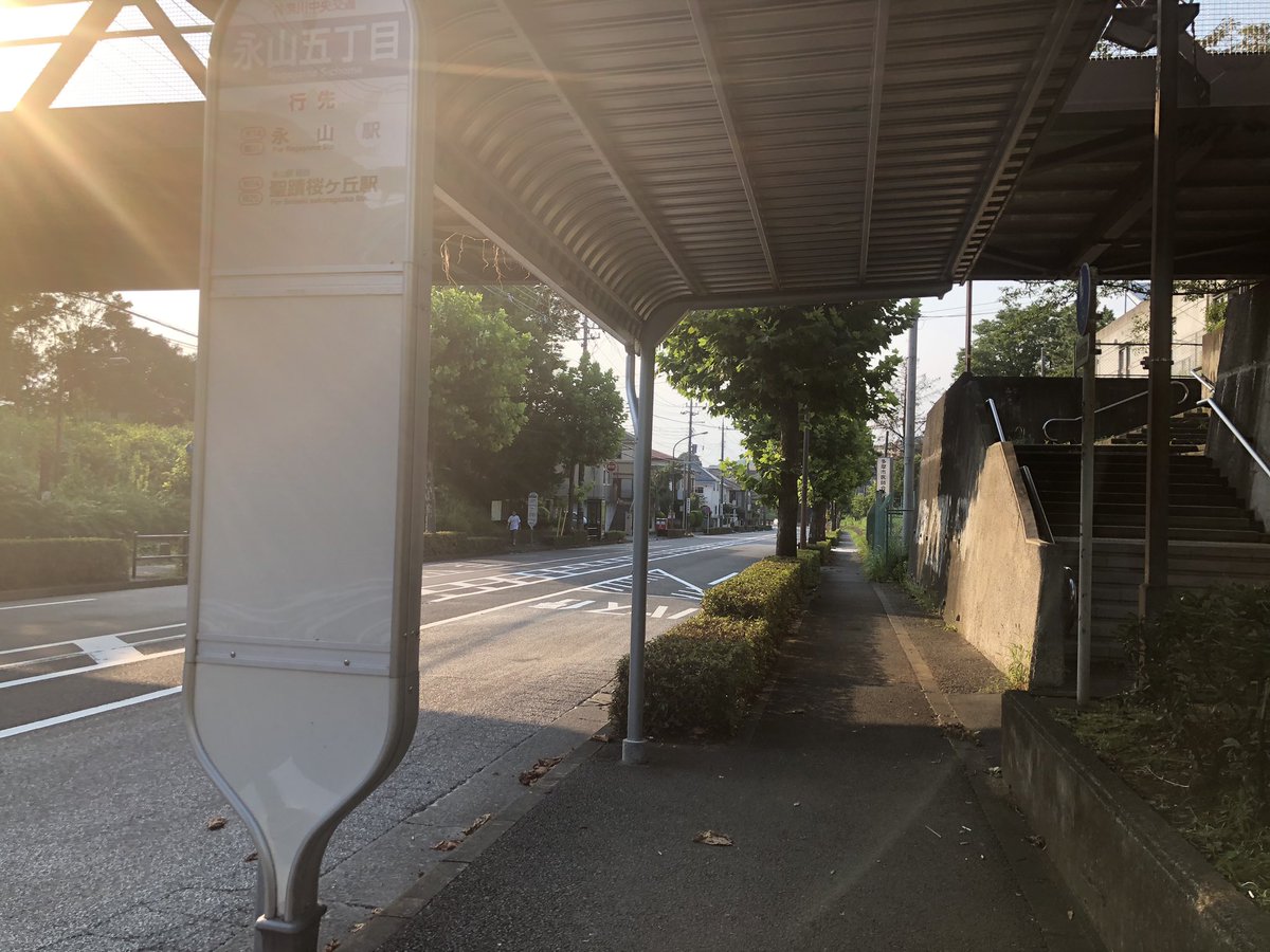 しもこし 祝 ソロ曲 4 30 多摩市の住宅街の特徴だと思うんだけど 道路両脇に生け垣と街路樹 建築区画は少し道より高く 緩衝帯の緑地にカシ コナラやマツなどの植生 道路より高い住宅区域を結ぶためにしばしば陸橋 多摩市という感じがめっちゃある