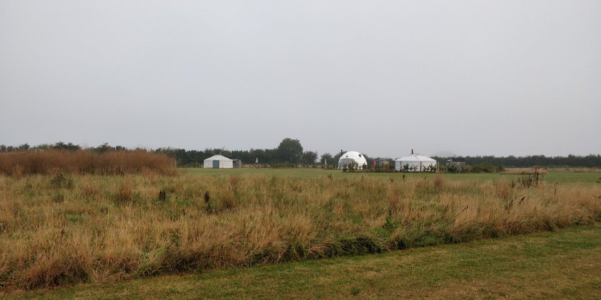 A bit of a damp start to the day after torrential rain last night. 
#glamping 
#glampingnotcamping
#getoutside
#Somerset 
#dampmorning